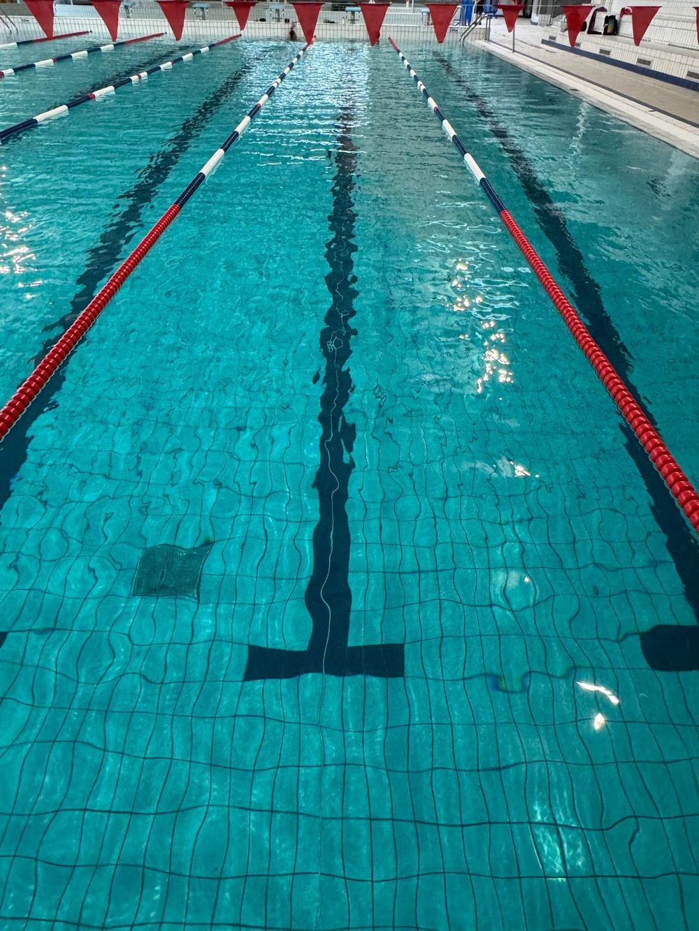 Lignes d'eau d'une piscine avant une séance de natation